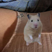 ヒメ日記 2025/07/23 04:56 投稿 もか 若妻淫乱倶楽部 古河店