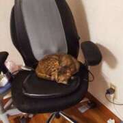 ヒメ日記 2025/10/27 01:40 投稿 もか 若妻淫乱倶楽部 古河店