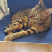 ヒメ日記 2025/12/25 18:10 投稿 もか 若妻淫乱倶楽部 古河店