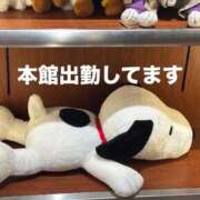 ヒメ日記 2025/09/25 09:29 投稿 りんか チューリップ福井別館