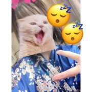 ヒメ日記 2025/02/09 22:54 投稿 みずき いざ候 本館