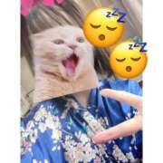 ヒメ日記 2025/02/09 23:07 投稿 みずき いざ候 本館