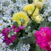 ヒメ日記 2025/03/18 13:05 投稿 ゆい♡幼さ残るゆるふわBOBY♡ 富山高岡ちゃんこ