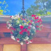 ヒメ日記 2025/04/16 11:45 投稿 ゆい♡幼さ残るゆるふわBOBY♡ 富山高岡ちゃんこ