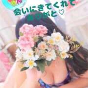 ヒメ日記 2025/04/18 13:15 投稿 ゆい♡幼さ残るゆるふわBOBY♡ 富山高岡ちゃんこ