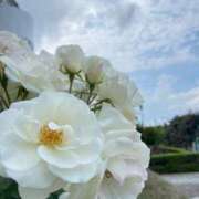 ヒメ日記 2025/04/27 23:44 投稿 ゆい♡幼さ残るゆるふわBOBY♡ 富山高岡ちゃんこ