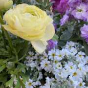 ヒメ日記 2025/05/09 10:02 投稿 ゆい♡幼さ残るゆるふわBOBY♡ 富山高岡ちゃんこ