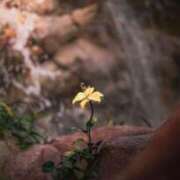 ヒメ日記 2025/05/19 10:02 投稿 ゆい♡幼さ残るゆるふわBOBY♡ 富山高岡ちゃんこ