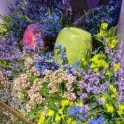 ヒメ日記 2025/05/19 16:01 投稿 ゆい♡幼さ残るゆるふわBOBY♡ 富山高岡ちゃんこ