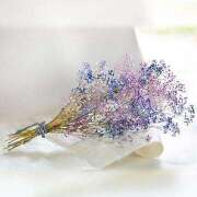 ヒメ日記 2025/07/23 01:11 投稿 ゆい♡幼さ残るゆるふわBOBY♡ 富山高岡ちゃんこ