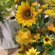 ヒメ日記 2025/07/23 07:49 投稿 ゆい♡幼さ残るゆるふわBOBY♡ 富山高岡ちゃんこ