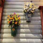 ヒメ日記 2025/07/28 16:01 投稿 ゆい♡幼さ残るゆるふわBOBY♡ 富山高岡ちゃんこ