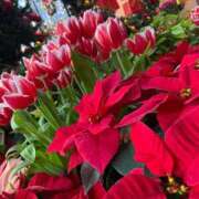 ヒメ日記 2025/12/09 13:33 投稿 ゆい♡幼さ残るゆるふわBOBY♡ 富山高岡ちゃんこ