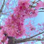 ヒメ日記 2026/04/08 18:41 投稿 ゆい♡幼さ残るゆるふわBOBY♡ 富山高岡ちゃんこ