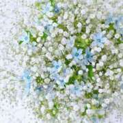 ヒメ日記 2026/04/13 09:19 投稿 ゆい♡幼さ残るゆるふわBOBY♡ 富山高岡ちゃんこ