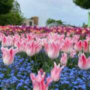 ヒメ日記 2026/04/24 09:10 投稿 ゆい♡幼さ残るゆるふわBOBY♡ 富山高岡ちゃんこ