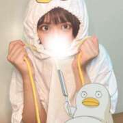 ヒメ日記 2025/04/10 12:05 投稿 さらさ 山梨　デリヘル No.1 『Sコレクション』 甲府