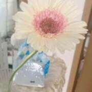 ヒメ日記 2025/07/29 12:50 投稿 ナナ(極) 人妻生レンタル