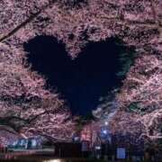 ヒメ日記 2026/03/07 23:54 投稿 ナナ(極) 人妻生レンタル