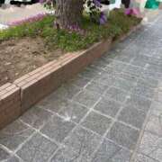ヒメ日記 2026/07/02 21:36 投稿 ナナ(極) 人妻生レンタルNTR