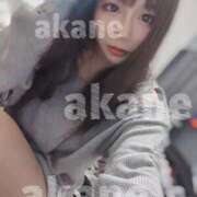 ヒメ日記 2025/09/25 02:50 投稿 あかね オレンジハウス