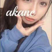 ヒメ日記 2025/10/02 12:04 投稿 あかね オレンジハウス