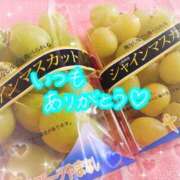 ヒメ日記 2025/09/08 17:50 投稿 ありあ オレンジハウス