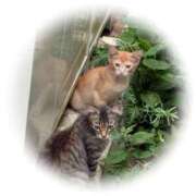 ヒメ日記 2025/11/16 10:00 投稿 ありあ オレンジハウス