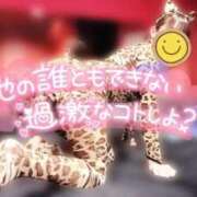 ヒメ日記 2025/11/17 10:24 投稿 ありあ オレンジハウス