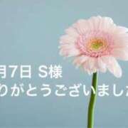 ヒメ日記 2024/04/08 13:47 投稿 雪乃(ゆきの) グランドオペラ横浜