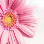 ヒメ日記 2024/12/20 00:51 投稿 雪乃(ゆきの) グランドオペラ横浜