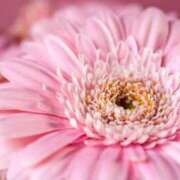 ヒメ日記 2025/01/23 20:27 投稿 雪乃(ゆきの) グランドオペラ横浜