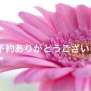 ヒメ日記 2025/04/15 19:04 投稿 雪乃(ゆきの) グランドオペラ横浜