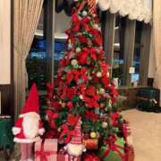 ヒメ日記 2025/11/22 02:02 投稿 えいみ オレンジハウス