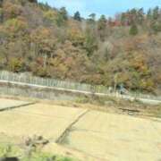 ヒメ日記 2025/11/29 12:31 投稿 えいみ オレンジハウス