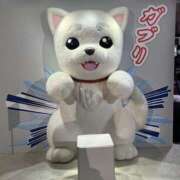 ヒメ日記 2024/12/27 12:14 投稿 もなちゃん ちょい！ぽちゃロリ倶楽部Hip's馬橋店