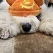 ヒメ日記 2025/11/08 18:02 投稿 もなちゃん ちょい！ぽちゃロリ倶楽部Hip's馬橋店