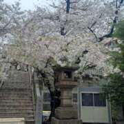 ヒメ日記 2026/04/06 14:00 投稿 きみか 熟女の風俗最終章 西川口店