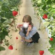 ヒメ日記 2026/03/02 20:50 投稿 くりす オレンジハウス