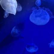 ヒメ日記 2026/03/20 11:20 投稿 くりす オレンジハウス