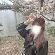 ヒメ日記 2026/04/05 15:50 投稿 くりす オレンジハウス