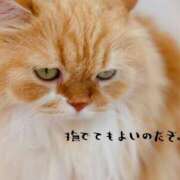 ヒメ日記 2025/07/08 16:14 投稿 あすか abc＋