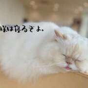 ヒメ日記 2025/07/09 16:34 投稿 あすか abc＋