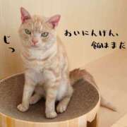 ヒメ日記 2025/07/10 17:16 投稿 あすか abc＋