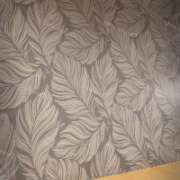 ヒメ日記 2025/12/25 13:10 投稿 あすか abc＋