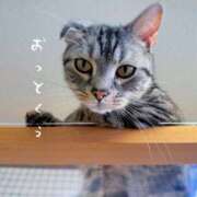 ヒメ日記 2026/03/24 15:51 投稿 あすか abc＋