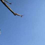 ヒメ日記 2025/03/01 15:50 投稿 長瀬（ながせ） 熟女の風俗最終章 名古屋店