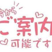 ヒメ日記 2025/04/14 00:50 投稿 長瀬（ながせ） 熟女の風俗最終章 名古屋店