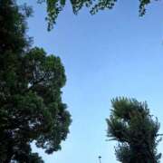 ヒメ日記 2025/06/30 05:58 投稿 長瀬（ながせ） 熟女の風俗最終章 名古屋店