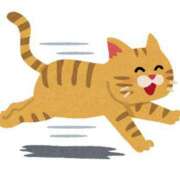 ヒメ日記 2025/08/15 18:10 投稿 しゅうか オレンジハウス